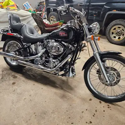 2007 Harley Davidson Softail Custom. New MVI. 96cI, 6 speed. 73,000 km. Raised bars, saddle bags scr...