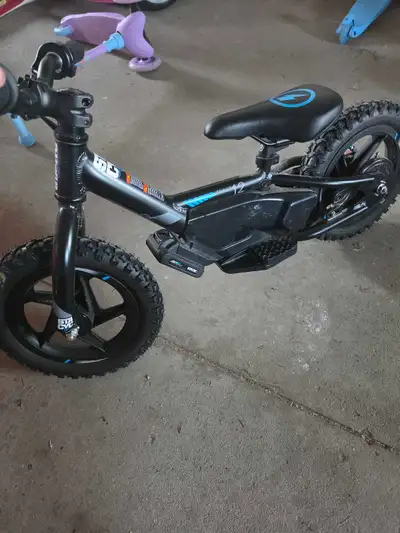 1 year old, used a handful of times, 3 speed settings, kids aren't into 2 wheels