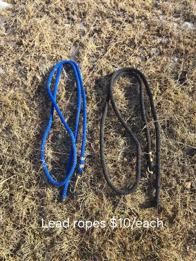 Various Tack Items, View more