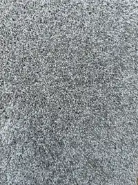 Carpet with pad with installation ($3.68/sqft)