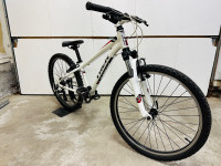 Overhauled Trek aluminum 24”kids bike upgraded 1x8 spd 26.5 lbs
