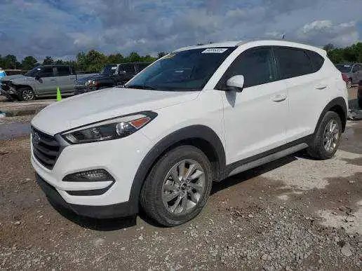 Buying: Hyundai/Kia With Engine Problem's 