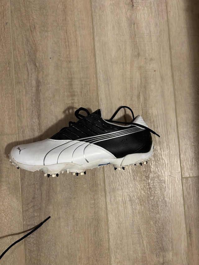 Puma golf shoes size 9.5 men’s  in Golf in Cranbrook - Image 2
