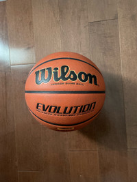 Wilson Evolution Indoor Basketball 