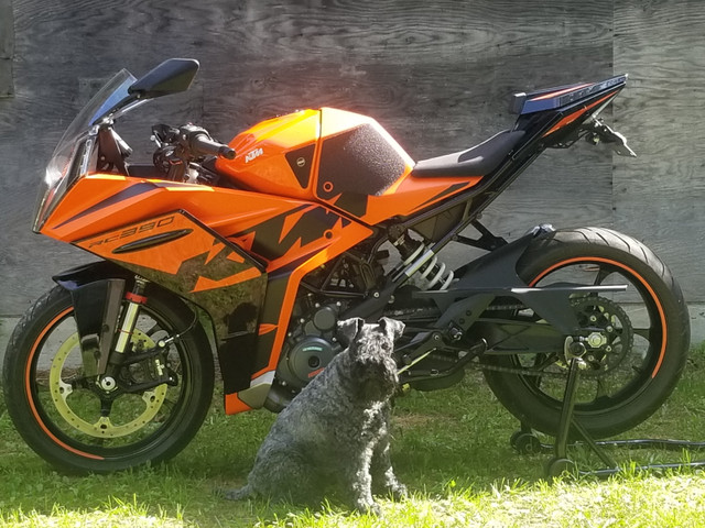 2022 KTM RC390 in Sport Bikes in Revelstoke - Image 3
