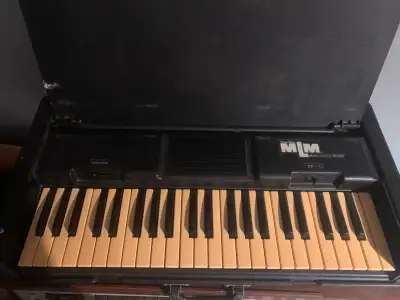 Wurlitzer MLM Music Learning Module organ, Voir plus