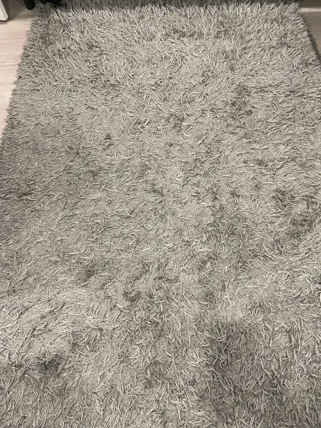 Area Rug in Rugs, Carpets & Runners in Oshawa / Durham Region - Image 2