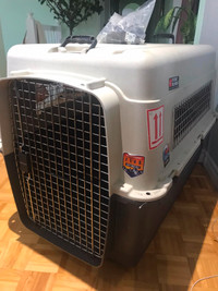 Cage transport chien