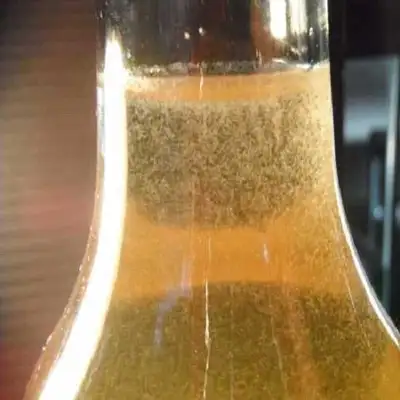 Vinegar Eels Live Culture - with FREE pipette , View more