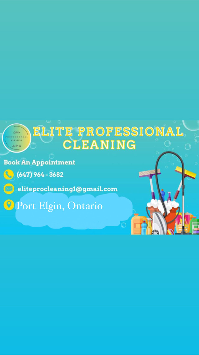 Professional cleaners - Port Elgin in Other in Owen Sound
