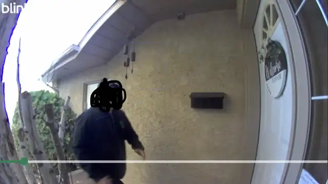 Found / Lost Wallet64141878605953120