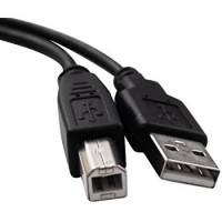 Printer Cable Usb1.0 Type A Male to B Male - 10 ft.