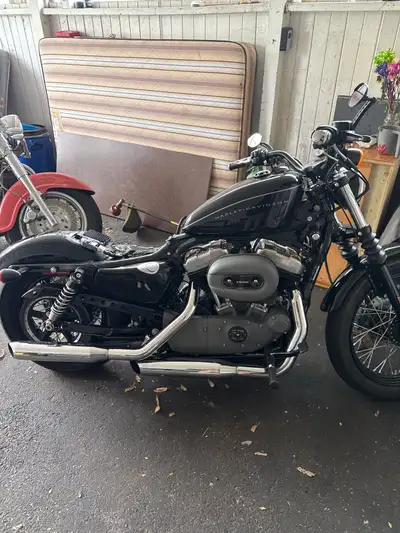 2008 Harley Davidson nighster sportster, bought it last summer never needed up getting my licens so...