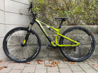 Specialized Epic 29 Comp