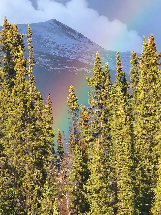 Healthcare worker seeking long term cabin in Long Term Rentals in Whitehorse - Image 2