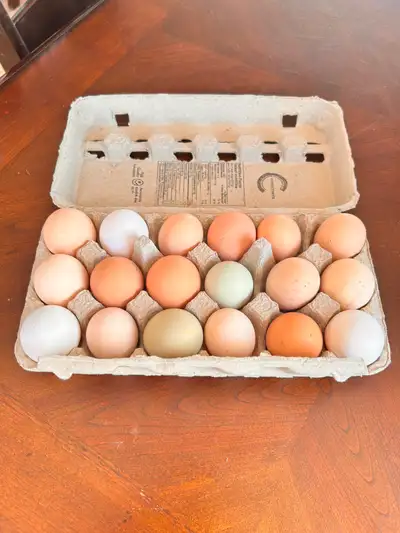  CHICKS & HATCHING EGGS – LIMITED SPRING HATCH, View more