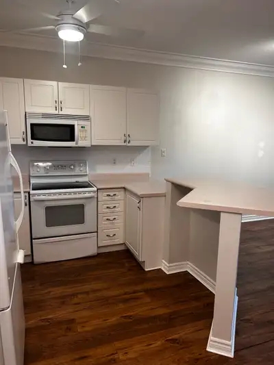 Spacious 1 bedroom/1 bath condo Unit is located on the main level in low rise ( quiet, older profess...