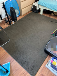 Area rug