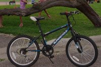 Supercycle Impulse Youth's 5-Speed Mountain Bike.