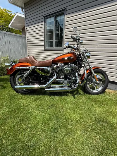 Sportster 1200 custom acheter chez Leo ,entretien fait a chez Harley Davidson septembre 2024,2sieges...