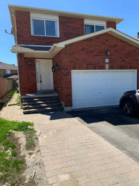 Basement Apartment for Rental