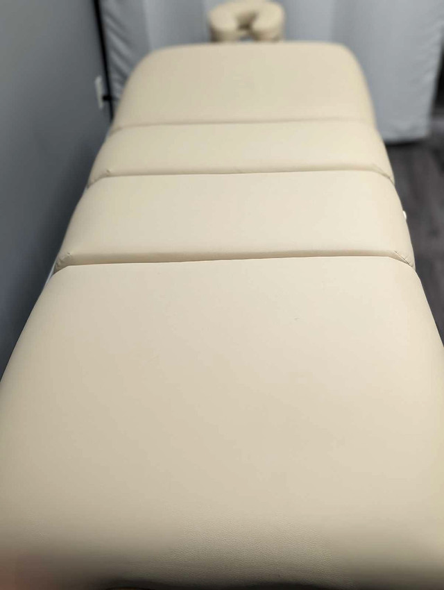 Comfort Soul DENALI ELITE Spa Treatment Table in Health & Special Needs in Sarnia