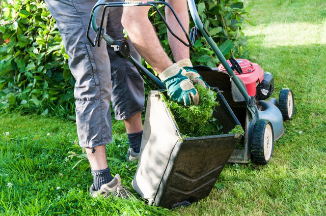 Lawn maintenance services  in Lawn, Tree Maintenance & Eavestrough in Oshawa / Durham Region - Image 2