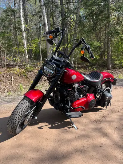 2012 Softail Slim in great condition. 3rd owner of bike. It has 66,000 km on it now and runs like a...