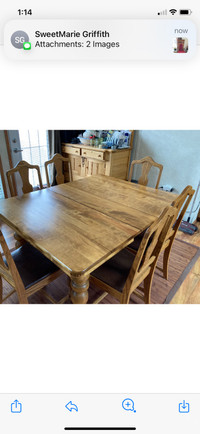 Antique table and 8chairs Lodge chairs