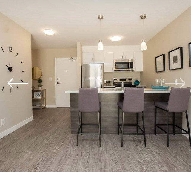 1 bedroom 1 bathroom Apartment  in Long Term Rentals in Winnipeg - Image 4