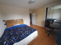 Close to Carleton Uni. Bright room for rent ( May 1)
