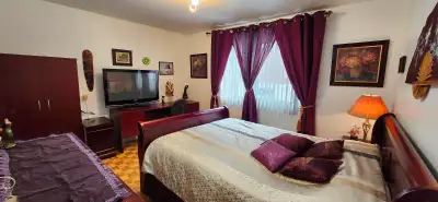 Salut! Salam alaikume! Je suis une femme, louant une belle grande chamber privée et meublée d'un lit...