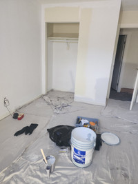 Affordable residential painters