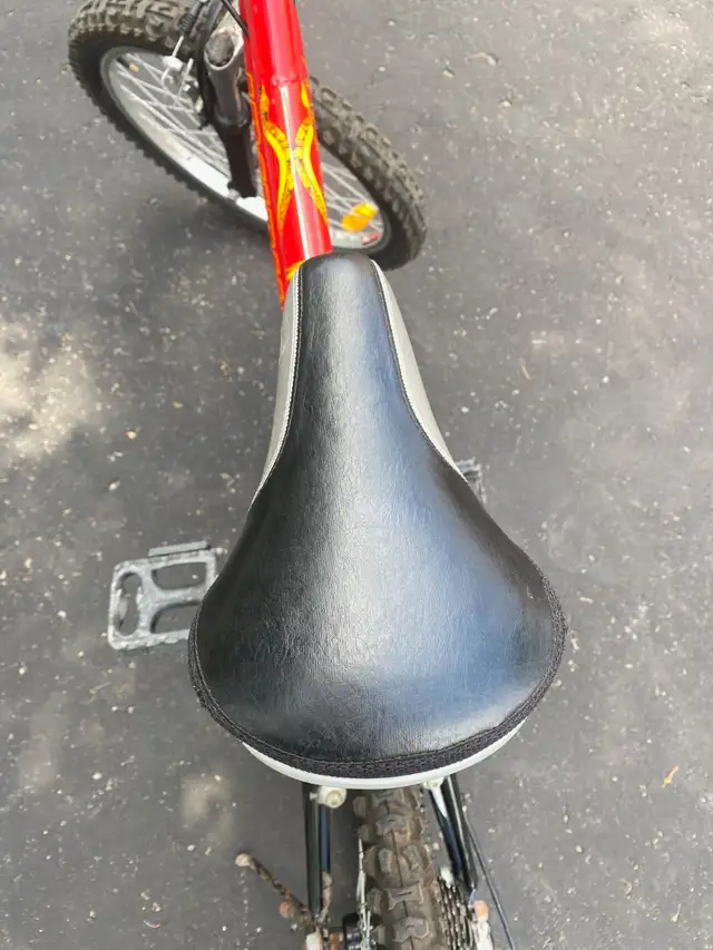 Kids mountain bike - 20 inch wheels, 6 speed excellent condition in Kids in Markham / York Region - Image 11