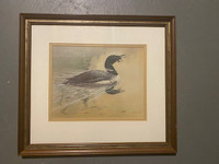 Framed Michael Dumas print of a loon