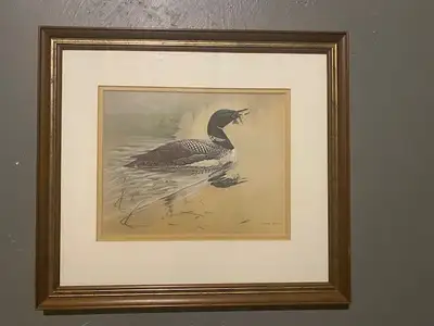 Framed Michael Dumas print of a loon, View more
