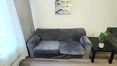 Comfortable gray couch with pull out Queen sized mattress. Price is negotiable.