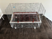 Living World Cage and a Great Cause