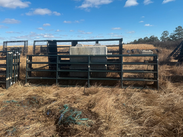 Corral Gates and Panels in Farming Equipment in Red Deer - Image 3