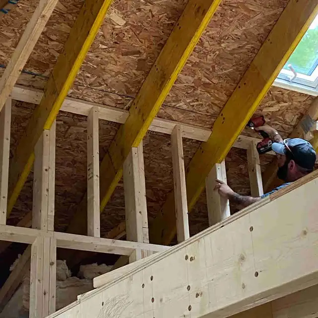 handyman / carpenter / skilled labourer 