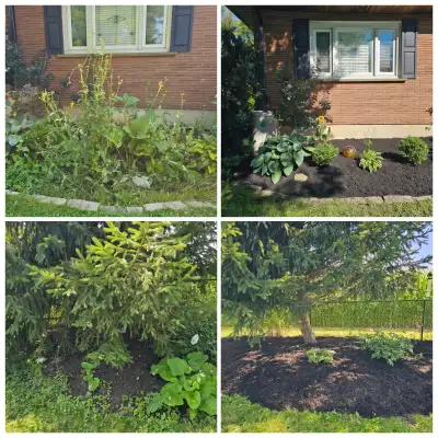 Summer is here, and it's time to get your space in tip-top shape! All photos are of completed jobs....