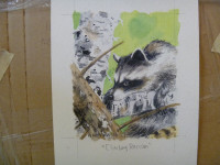 More Raccoon ORIGINAL ART - various sizes