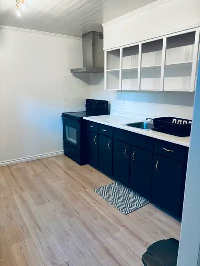 1 Bedroom • 1 Bathroom Partially Furnished Apartment for Rent Near Bowring Park Available November 1...