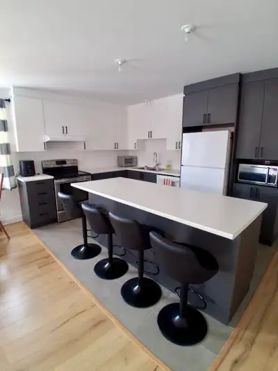 Très grand 4 1/2 à louer à Nicolet (Superbe logement situé dans une construction très récente) 1475$...