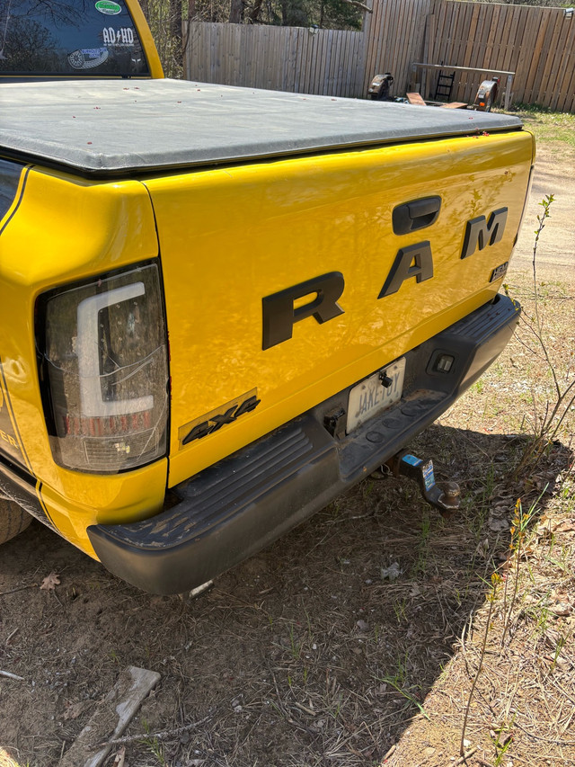 04 Rumble Bee SCSB Hemi 4X4 in Cars & Trucks in Trenton - Image 2