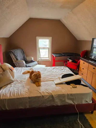 Beaufull large bedroom furnished for rent in my home..