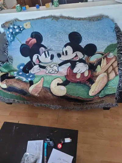 Disney World Blanket, View more