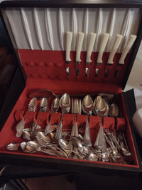 knives, forks and spoons in a case