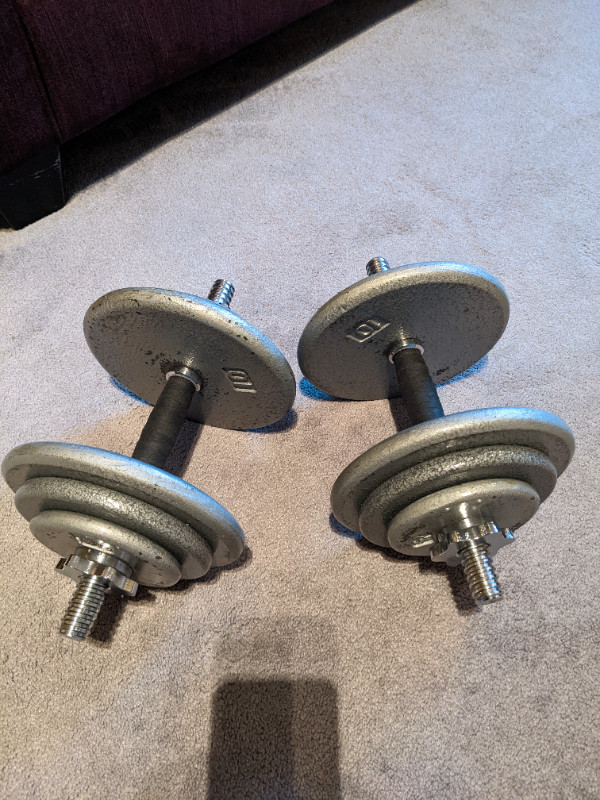 Dumbbells free weights for sale  