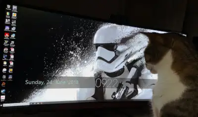 34" Asus ROG Swift + 2 34" Ultrawide Productivity Monitors, View more